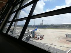 -全日本空输株式会社(上海办事处)