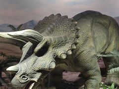 -国家自然博物馆