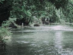 -鹿亭中村