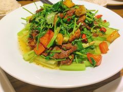 小炒黄牛肉-广东道至正餐厅(区庄店)