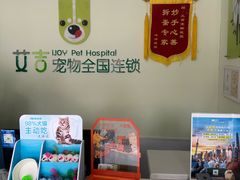 -艾吉宠物医院·疑难杂症转诊中心·猫友好(碧江路院)