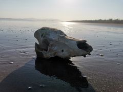 -珠海金沙滩