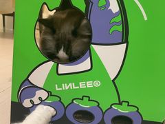 -LINLEE林里·手打柠檬茶(黄浦茂名南路店)