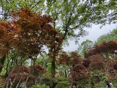 -岳麓山风景名胜区