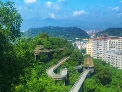 -福道