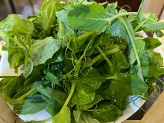 -芭夯兔·兔肉汤锅(新都店)