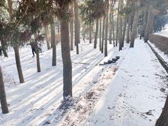 -庐山风景名胜区