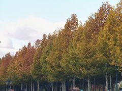 -迪士尼小镇