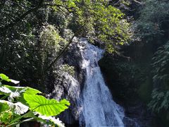 -桂林古东瀑布景区