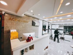 -ACE造型