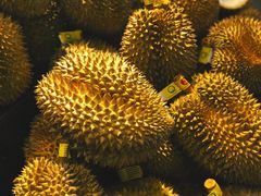 -水果天空(东葛店)