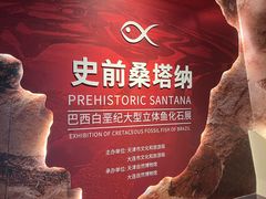 -天津自然博物馆