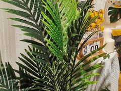 -百好乐宠物友好餐厅(朝外大街店)