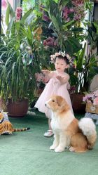点击看大图 -爱儿美儿童摄影(五路居花园别墅店)