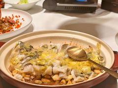 肉汁蒸海钓大黄鱼-炳胜公馆(珠江新城店)