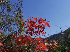 -秦岭风景区