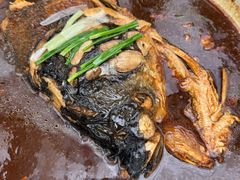 -春满园生态餐厅(南宫路店)