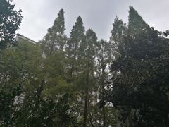 -巴金故居