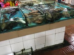 水产区-万尾农贸市场