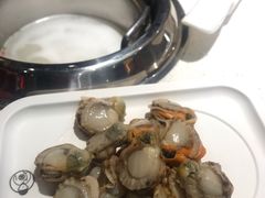 -龍歌自助小火锅(市南金茂湾店)