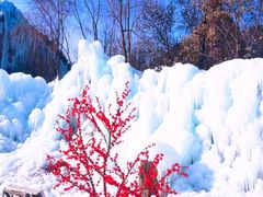-沕沕水生态风景区