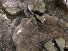 -成都市活水公园