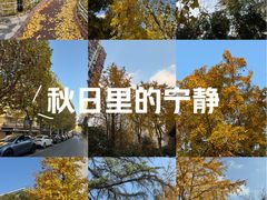 -宜乐荟