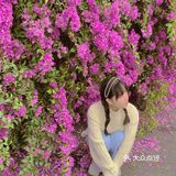 小区门口惊现🌺三角梅“瀑布”墙