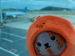 -福州长乐国际机场