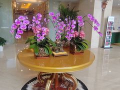 -上海吉臣维景酒店·维多利亚餐厅