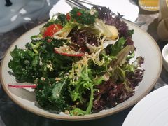 -LESCEDARS Brasserie Bistro香柏树