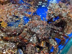 -79号渔船海鲜饭店(华强北店)