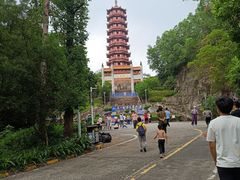 -大雁山风景区