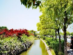 -上海杨姆庄园