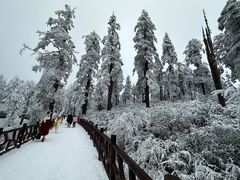-瓦屋山景区