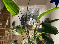 -隐琢咖啡(汉街店)
