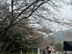 -杭州少年儿童公园
