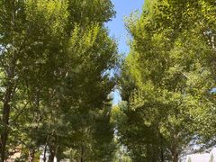 -大青山野生动物园