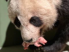 -深圳博物馆历史民俗馆