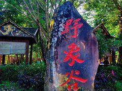 -野象谷景区