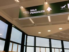 -米兰马尔彭萨国际机场