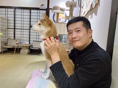 -逗柴咖啡屋·狗咖猫咖宠物桌游