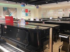 -柏斯琴行(汾阳店)