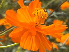 -南通洲际绿博园