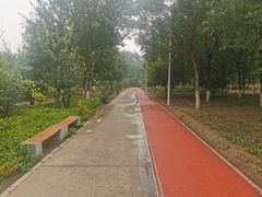 -绿堤公园