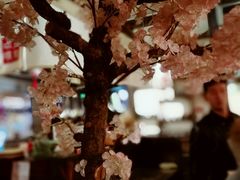-金龙咖喱