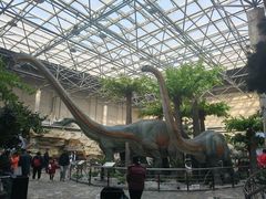 -国家自然博物馆