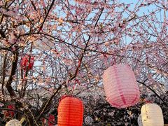 -三里河公园