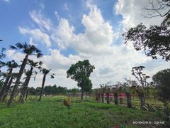 -嬉乐湾休闲旅游区