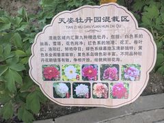 -太阳宫公园